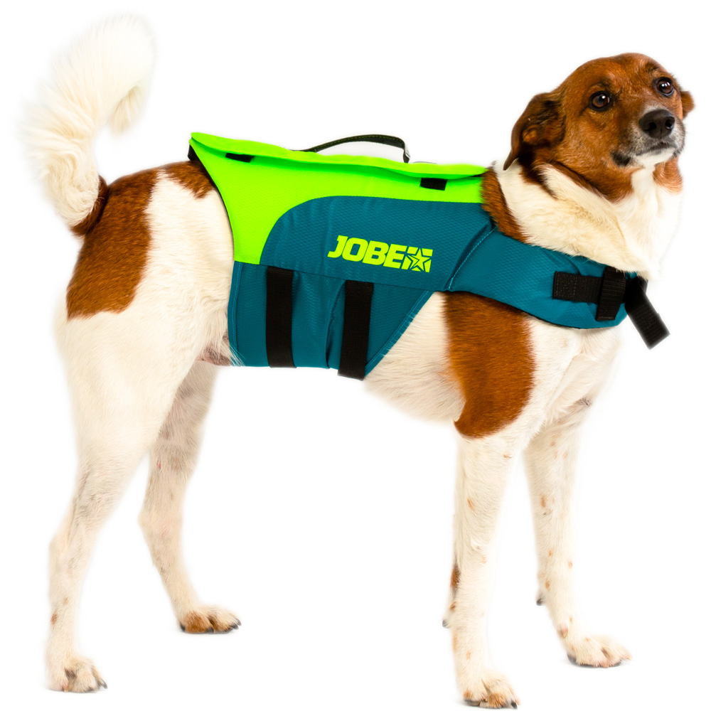 Jobe honden zwemvest Lime Teal foto 1