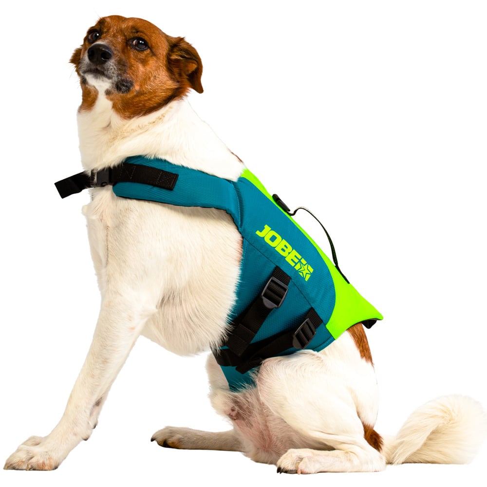 Jobe honden zwemvest Lime Teal 2